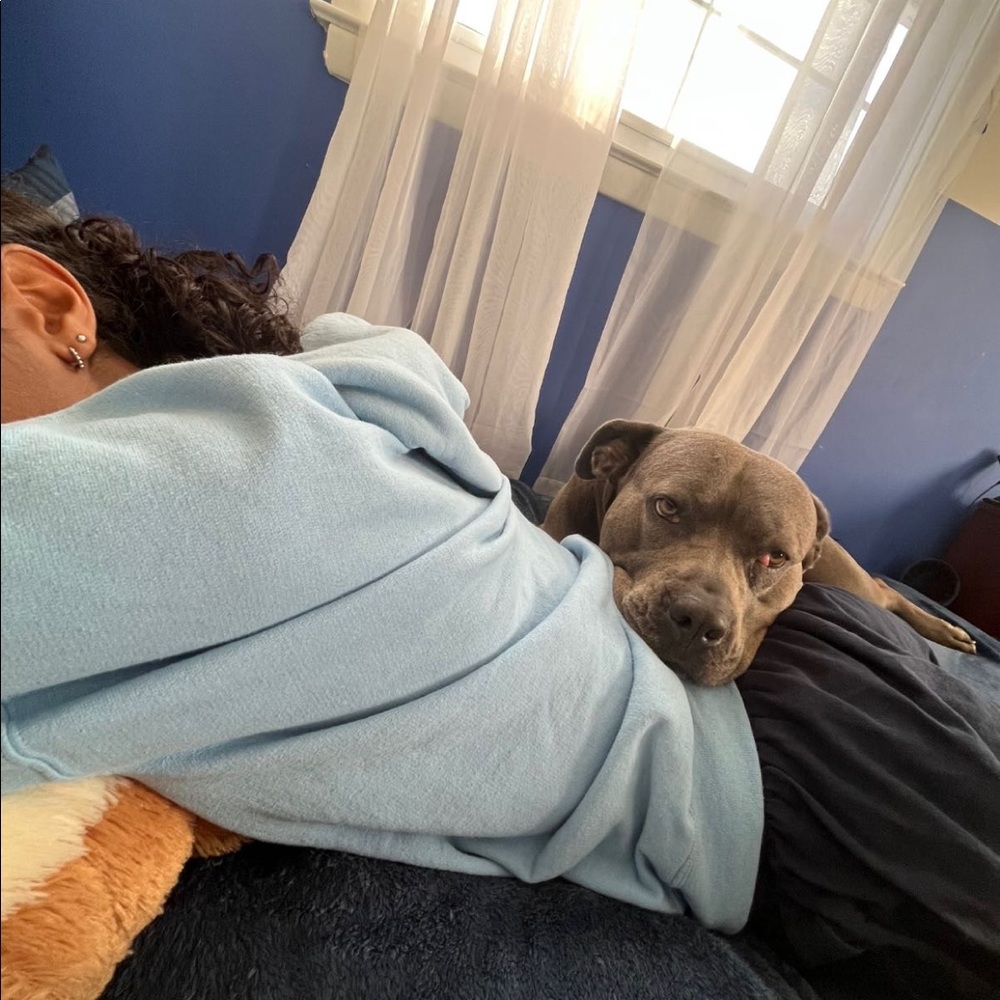 Meet your Posher, Devin